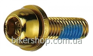 Набор болтов Bengal для крепления калипера, 4шт золотист.
